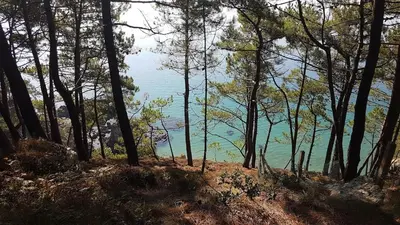 Paysage naturel près de l'appartement