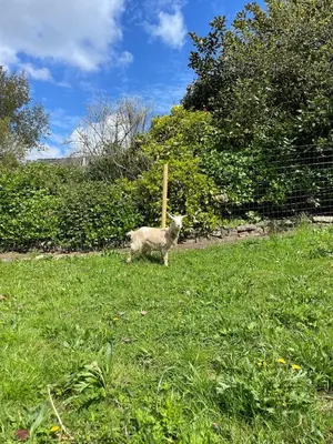 Jardin de l'établissement Havre de paix à la campagne