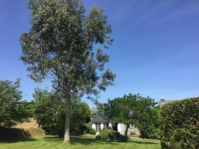 Jardin de l'établissement Gite de charme entre mer et campagne, 4 étoiles