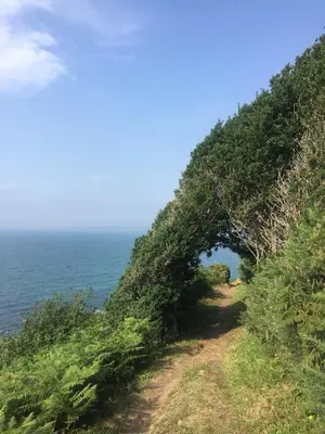 Paysage naturel près de la maison de vacances