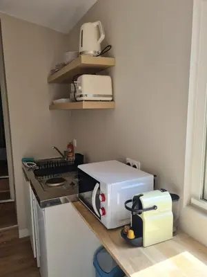 Cuisine ou kitchenette dans l'établissement Charmant appartement face au port de Concarneau