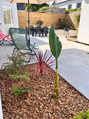 Jardin de l'établissement Maison Kerheol