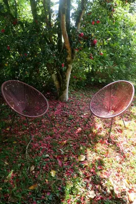 Jardin de l'établissement Ty ar gwez