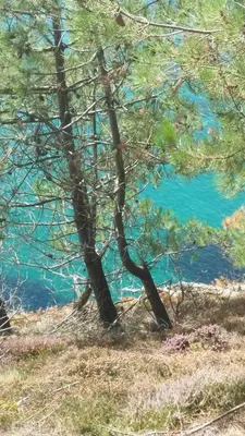 Paysage naturel près de l'appartement