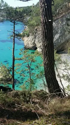 Paysage naturel près de l'appartement