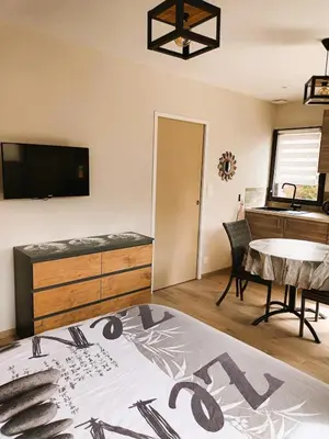 Télévision ou salle de divertissement dans l'établissement Studio indépendant au coeur de Locmaria-Plouzané