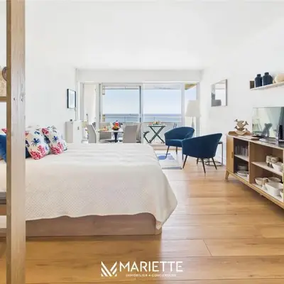 -Ocean- Studio renove avec parking et vue mer