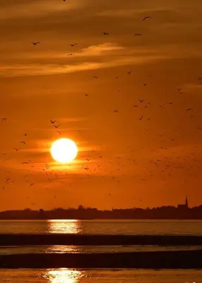 Lever ou coucher de soleil vu de la maison de vacances ou à proximité