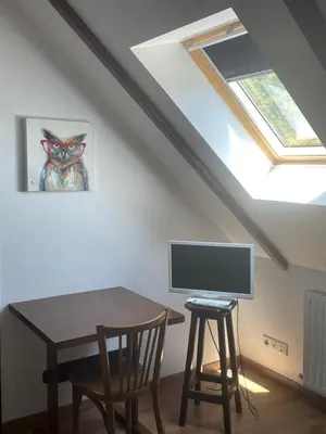 Télévision ou salle de divertissement dans l'établissement Le Bouthiry