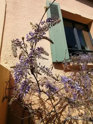 Plan de l'établissement Guest house dans jardin exotique, quartier calme, jacuzzi, parking gratuit