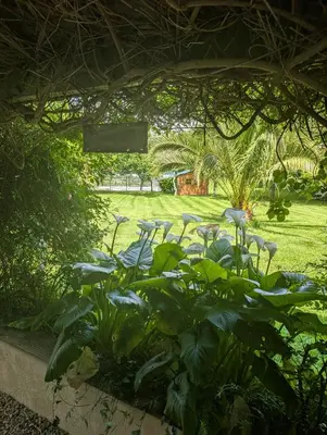 Jardin de l'établissement Gîte ty coat
