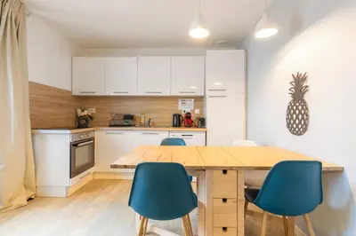 Cuisine ou kitchenette dans l'établissement Appart 3 chambres avec TV connectées et Jardin