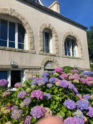 Jardin de l'établissement Chambre d'hote Locronan