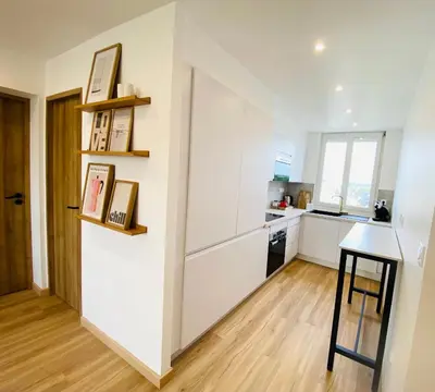 Cuisine ou kitchenette dans l'établissement L appart Quimperois Centre ville