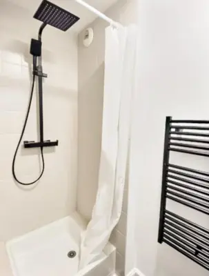 Salle de bains dans l'établissement Appartement Quimper Centre ville avec Parking