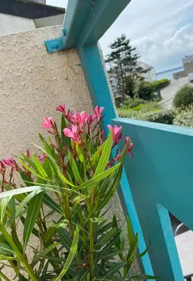 Balcon ou terrasse dans l'établissement Appartement pieds dans l eau vue mer