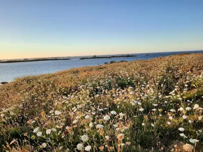 Paysage naturel près de l'appartement