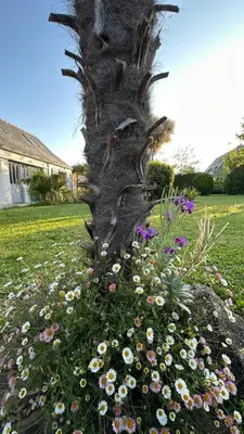 Jardin de l'établissement Maison Tarte au Miel Atelier Penmarch