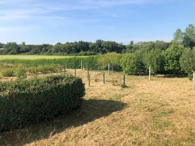 Jardin de l'établissement Family home