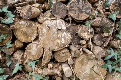 Plan de l'établissement Hagwood - Gîte magique, romantique et insolite