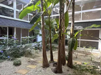 Jardin de l'établissement T2 rénové à 100m de la plage avec balcon et parking privé - FR-1-481-181