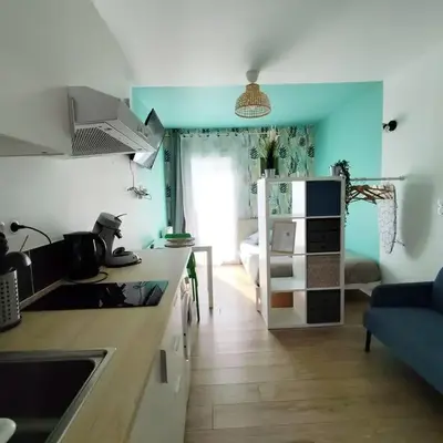 Beau studio soigné avec terrasse partagée