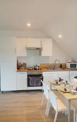 Cuisine ou kitchenette dans l'établissement centre ville confortable