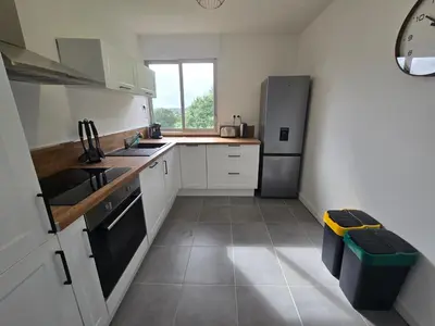 Cuisine ou kitchenette dans l'établissement Appartement des Rives de la Penfeld