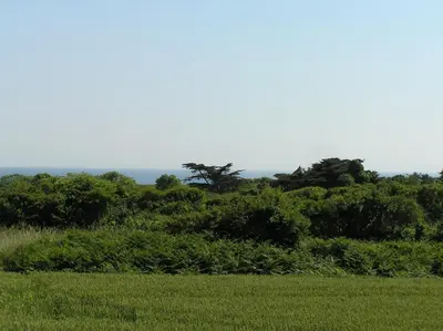 Paysage naturel près de la maison de vacances