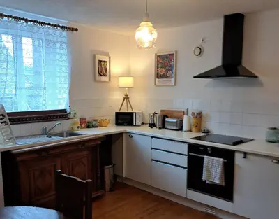 Cuisine ou kitchenette dans l'établissement Bel appartement au centre