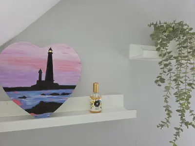 Plan de l'établissement maison moderne avec jardin clos proche commerces et plages