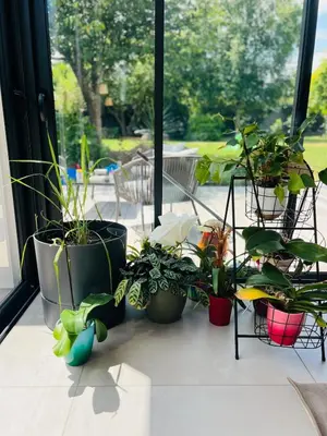 Jardin de l'établissement Exceptional villa in Combrit -