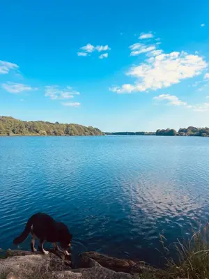 Paysage naturel près de la maison de vacances