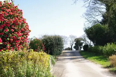 Jardin de l'établissement Ti Gwen charming cottage in Douarnenez Bay