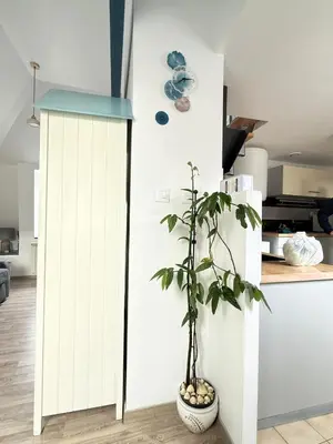 Cuisine ou kitchenette dans l'établissement Ty Glas des Abers