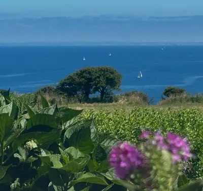Paysage naturel près de la villa