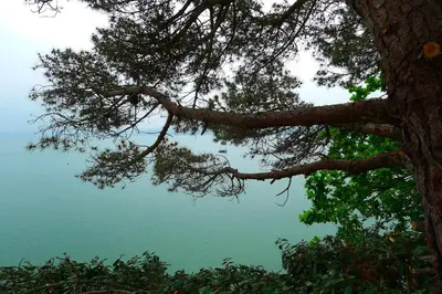 Paysage naturel près de le B&B/chambre d'hôtes