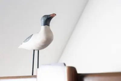 Animaux dans la maison de vacances ou à proximité