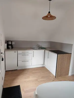 Cuisine ou kitchenette dans l'établissement Roz al lenn