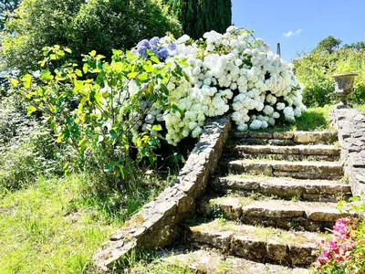 Jardin de l'établissement Dreamy holiday home with garden