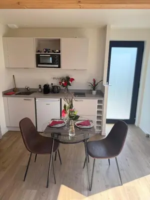 Cuisine ou kitchenette dans l'établissement Studio neuf dans un espace boisé