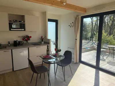 Cuisine ou kitchenette dans l'établissement Studio neuf dans un espace boisé