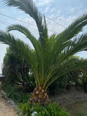 Jardin de l'établissement Le calme proche mer