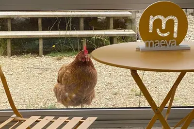 Plan de l'établissement Camping maeva Respire Le Domaine de Mesqueau