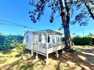 Jardin de l'établissement Mobile Home Camping Paradis