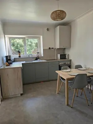 Cuisine ou kitchenette dans l'établissement Résidence de la plage de l'odet