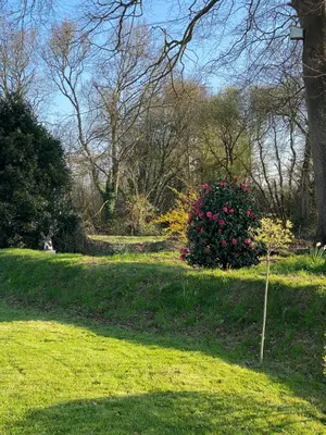Jardin de l'établissement Escale sous le hêtre