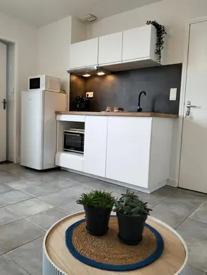 Cuisine ou kitchenette dans l'établissement Blue Marine - T2 - Centre-ville