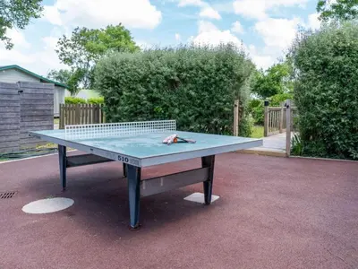 Tennis de table au sein de l'établissement Mobil home confortable avec terrasse à Tréguennec - API-1-52-1036 ou à proximité