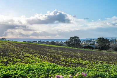 Paysage naturel près de la maison de vacances